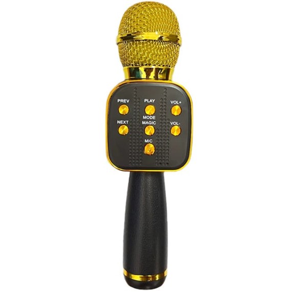 micrófono altavoz karaoke