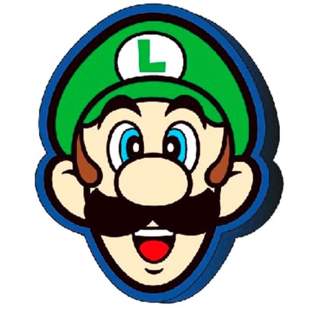Cojín 3D Luigi Super Mario Bros